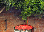 Blazing Saddles Bike Rentals and Tours thumb 10